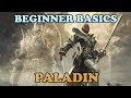 DDO Beginner Basics: The Paladin Class