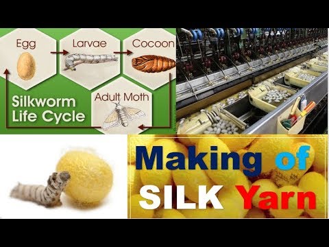 Manufacturing Process of Silk Yarn