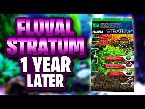Fluval Stratum 1 Year Later - An Excellent Aquasoil Substrate For A Planted Tank!