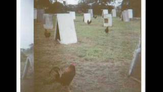 Yolanda Del Rio - Amor a lo Ranchero