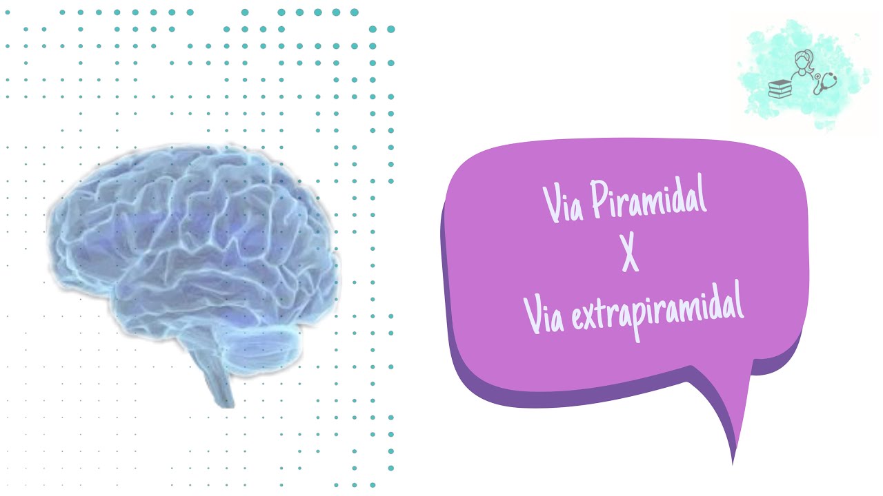 Neurologia - Sistema motor- via piramidal x extrapiramidal