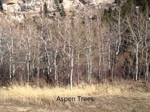 Sinks Canyon by TJ & Kallysta