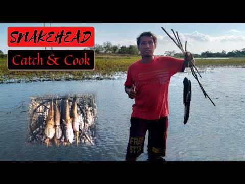 Paggawa ng Pabalon at Pag-umang ng Patukba | Catch and Cook | Inihaw na Dalag | Occidental Mindoro