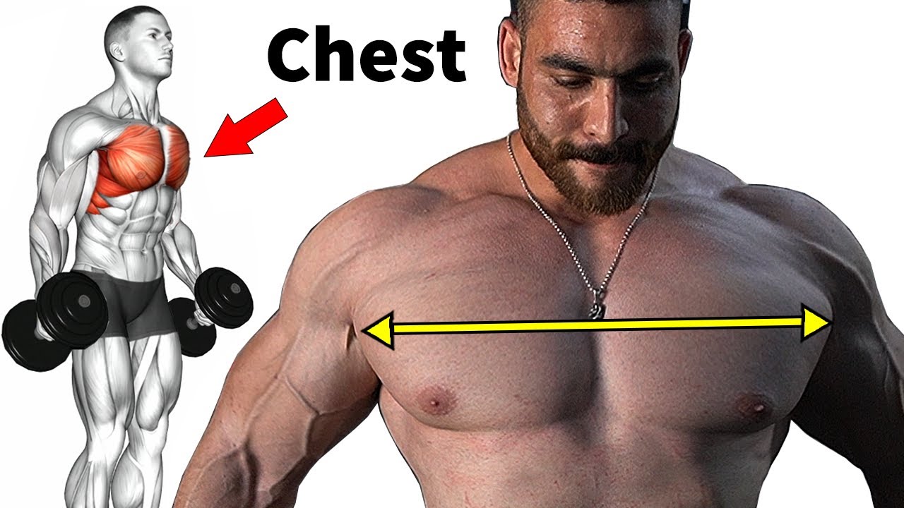 Expert Training Techniques