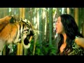 Katy Perry - Roar - Lion Edition [Karaoke ...