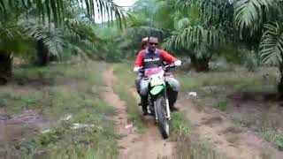 preview picture of video 'Keliling Kebun Sawit Di Kalimantan Selatan'