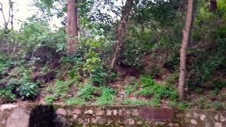 preview picture of video 'Natural water source || Sila village water || yamkeshwar block || Pauri Garhwal || Uttrakhand'