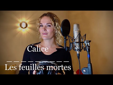 Vidéo