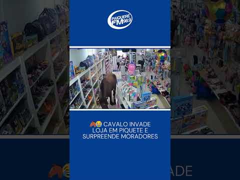 🐴😂 Cavalo invade loja em Piquete e surpreende moradores