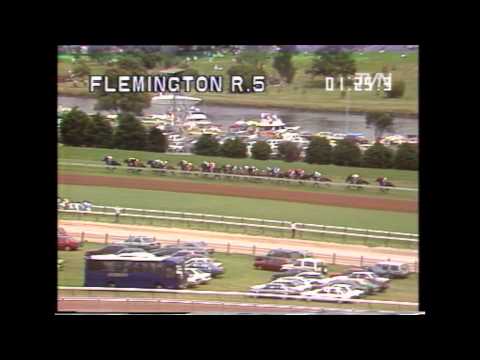 1990 Melbourne Cup - Kingston Rule
