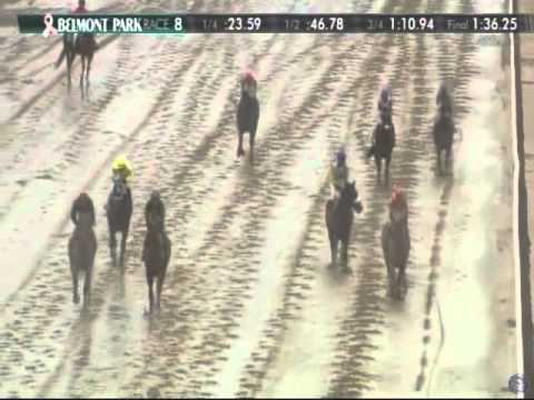 2015 Foxwoods Champagne Stakes - Greenpointcrusader