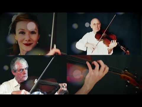 Zugabe 2 im Adventskalender der MDR-Orchesterfreunde