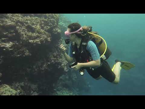 Wallis, Wallis & Futuna