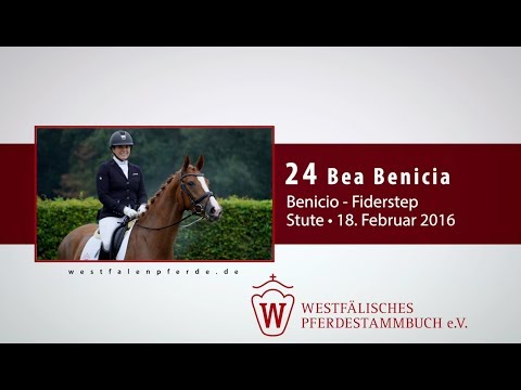 24 Bea Benicia  Stute v. Benicio - Fiderstep