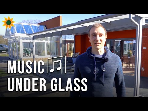 Unterstützung für Musiker & Bands in Corona Zeiten (Music Under Glass)