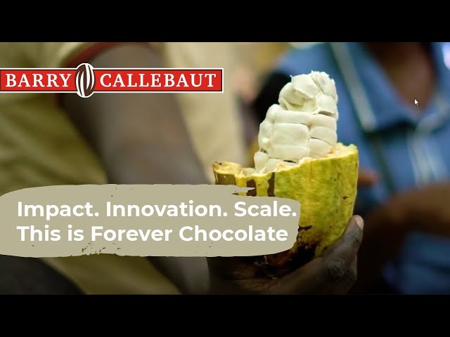 imagen-video-thefoodtech
