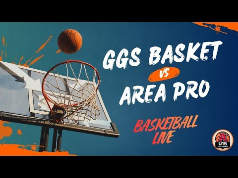GGS BASKET - AREA PRO