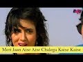 Meri Jaan Aise Aise Chalega Kaise Kaise Kaun Kare Kurbanie Govinda Anita Raj