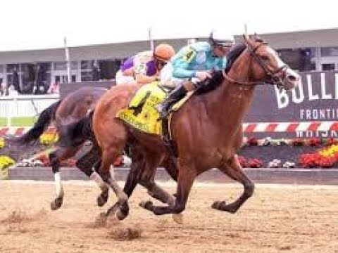Pimlico Special Stakes (G3) 2024