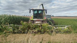Claas Jaguar 950 forage harvester for sale - Image 4 | Agroline TH New Claas Jaguar 950 forage harvester | Image 4 - Agroline