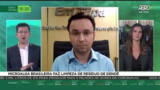 Miniatura do vídeo