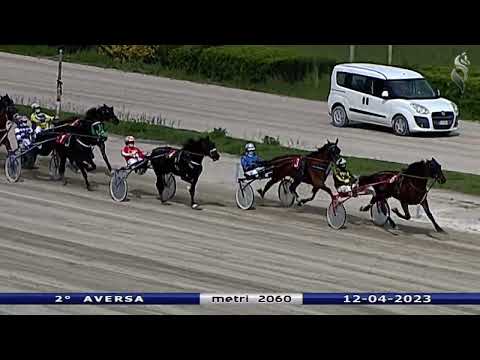 Aversa trotto 12 Aprile 2023 - 2° Corsa