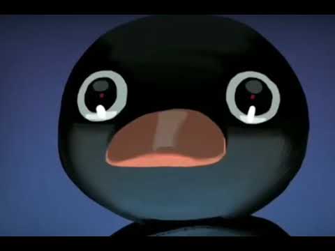 Nok Nok penguen 🐧🐧