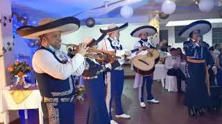 Video de Mariachi Juvenil Luna de México