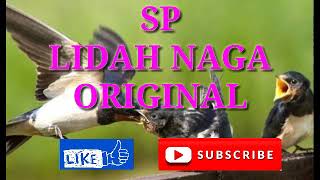 Download lagu SUARA PANGGIL WALET ORIGINAL TERBAIK TERJERNIH 'LIDAH NAGA' mp3 Download lagu SUARA PANGGIL WALET ORIGINAL TERBAIK TERJERNIH 'LIDAH NAGA' mp3