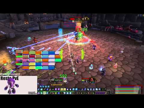 WoW WoD: Highmaul HC and Normal - How to The Butcher