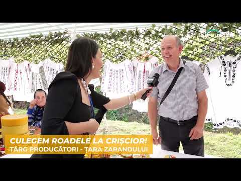 CULEGEM ROADELE LA CRIȘCIOR!