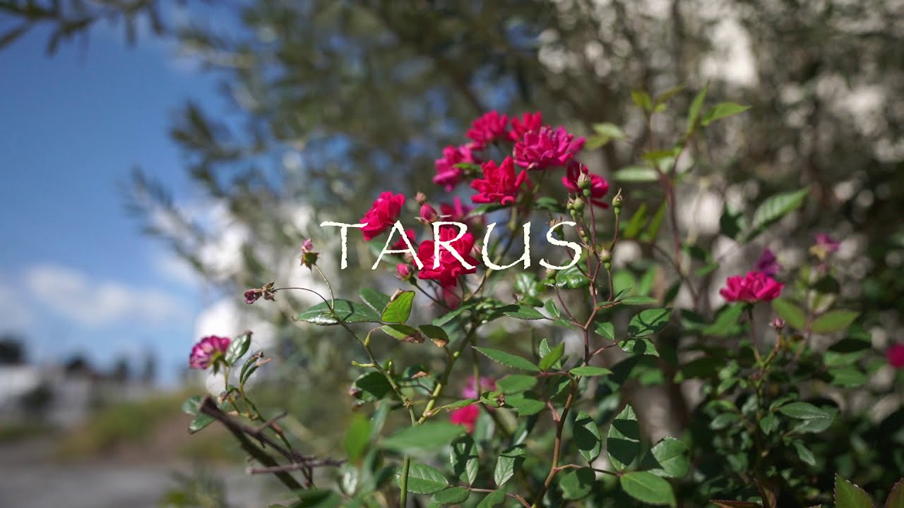 楽琉頭オブヘア