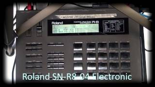 Roland R-8 SN-R8-04 Electronic