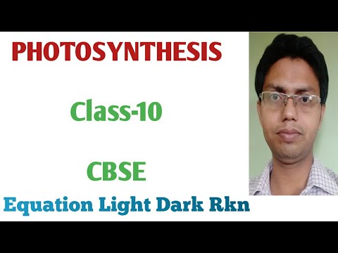 Photosynthesis Life process class 10