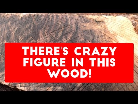 Cutting Beautiful Walnut Boards on Mahoe Minimax Sawmill!