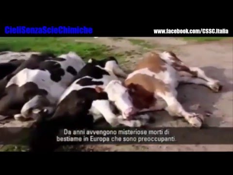 Trattamento Uchum delle articolazioni Trattamenti ormonali per lartrite del ginocchio