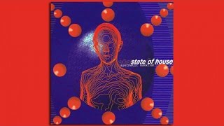 State of House - Synthetic Mankind