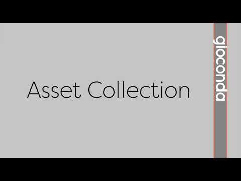 Asset collection and review