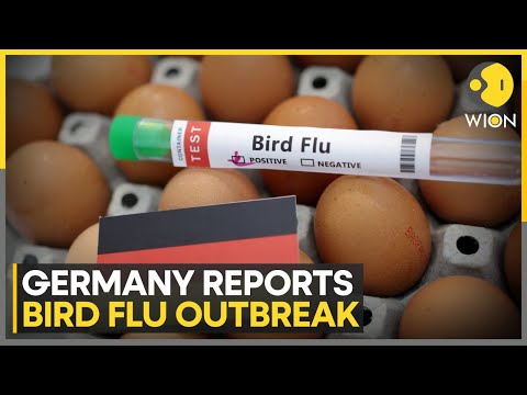 Germany On Alert: Bird Flu Outbreak Hits Germany | Europe Faces Early Cases | WION