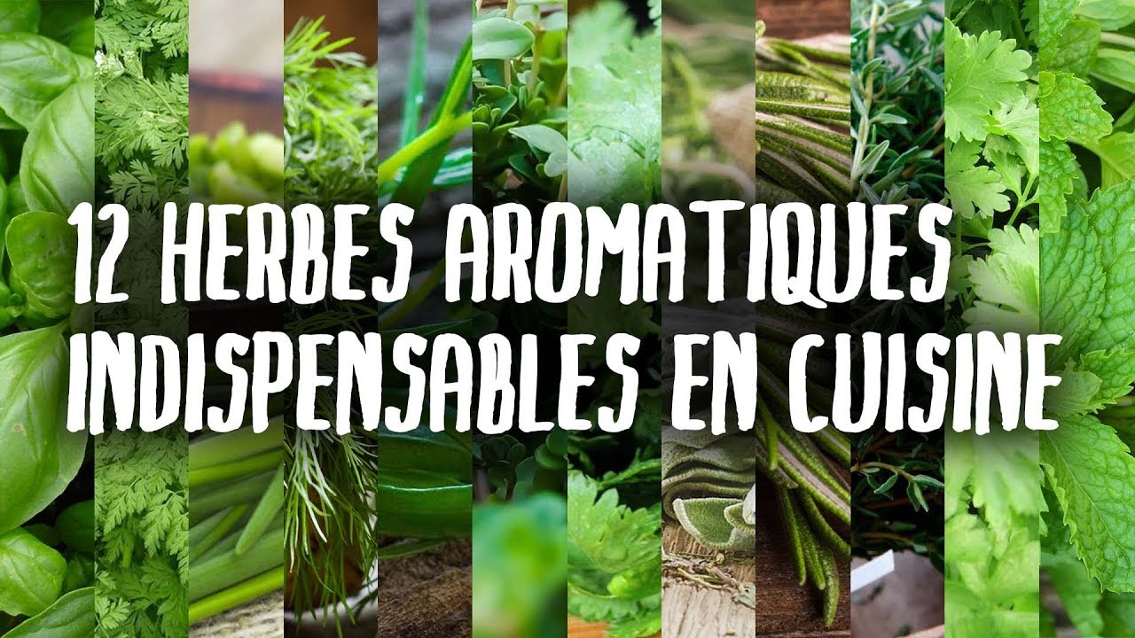 12 herbes INDISPENSABLES en cuisine (partie I)