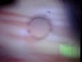 PBS Logo 1992 1996 With PBS Kids Dot Transformation Music