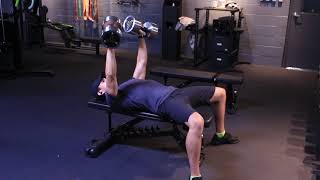 Chest DB Flat Bench 1
