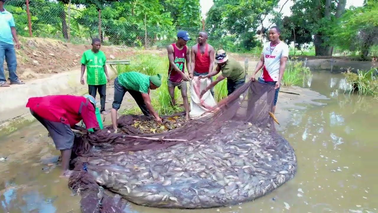 WAMI/RUVU YADHIBITI UCHAFUZI WA VYANZO VYA MAJI KWA KUANZISHA MIRADI YA UHIFADHI