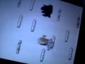 New Doodle Jump Ice Level
