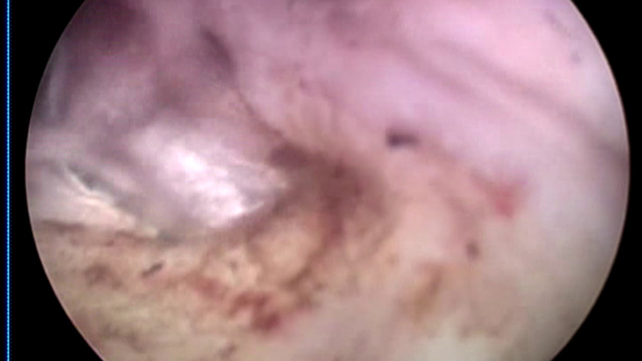 Eduardo Montiel Delgado-22