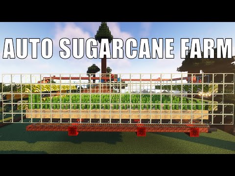 Bamboo or Sugarcane Farm Minecraft 1.20  | Fully Automatic and Efficient with Flying Machine — Minecraft farm tutorial thumbnail