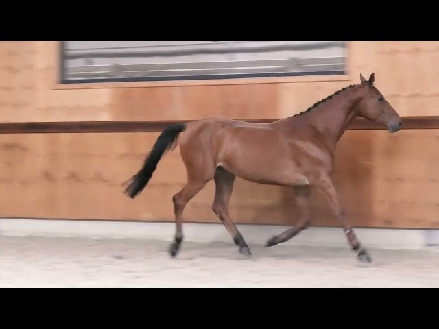 Gaits