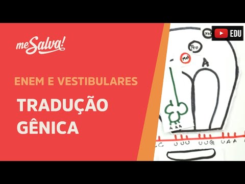 Me Salva! GEN07 - Genética - Tradução gênica