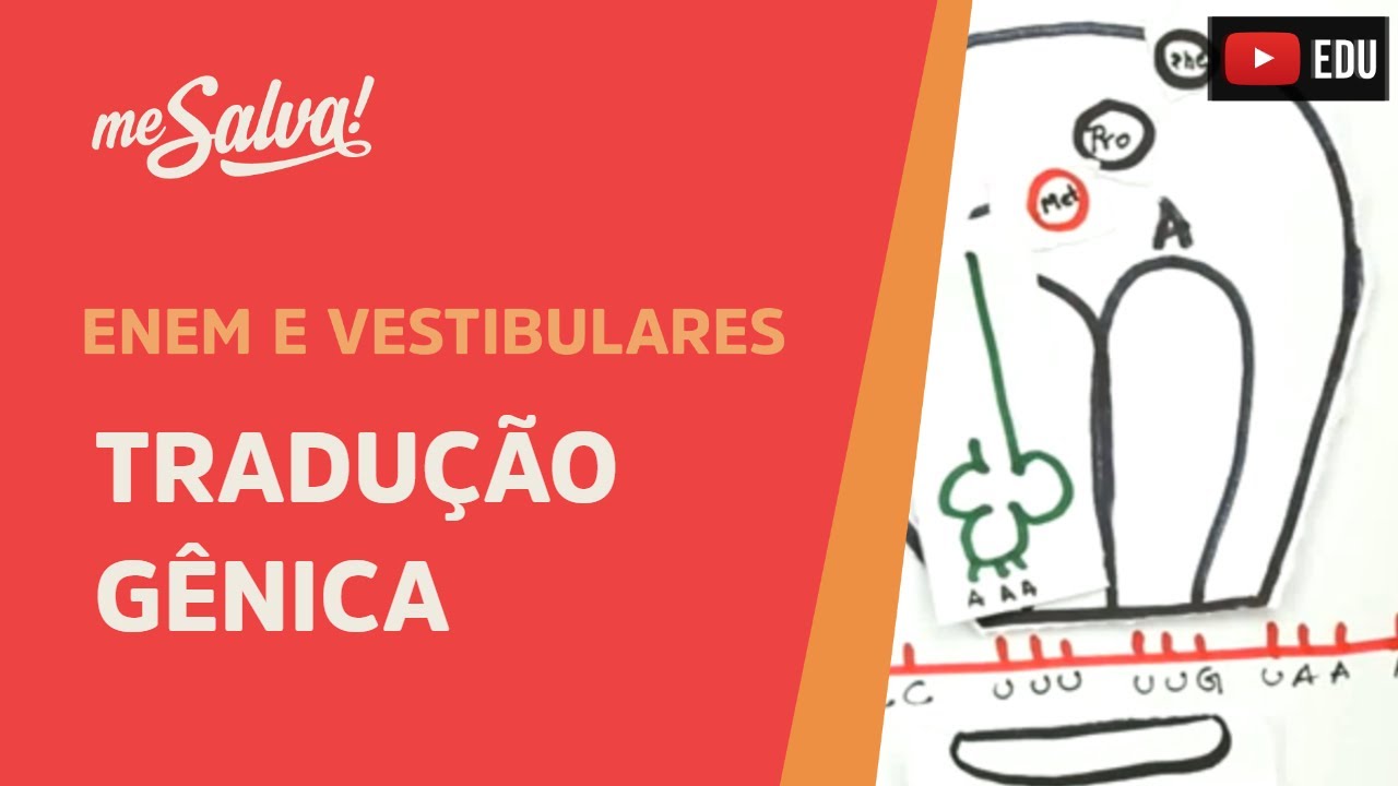 Me Salva! GEN07 - Genética - Tradução gênica