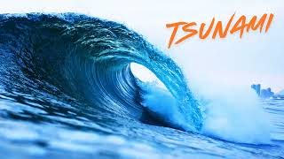 🌴 Southern All Stars - TSUNAMI 🌊